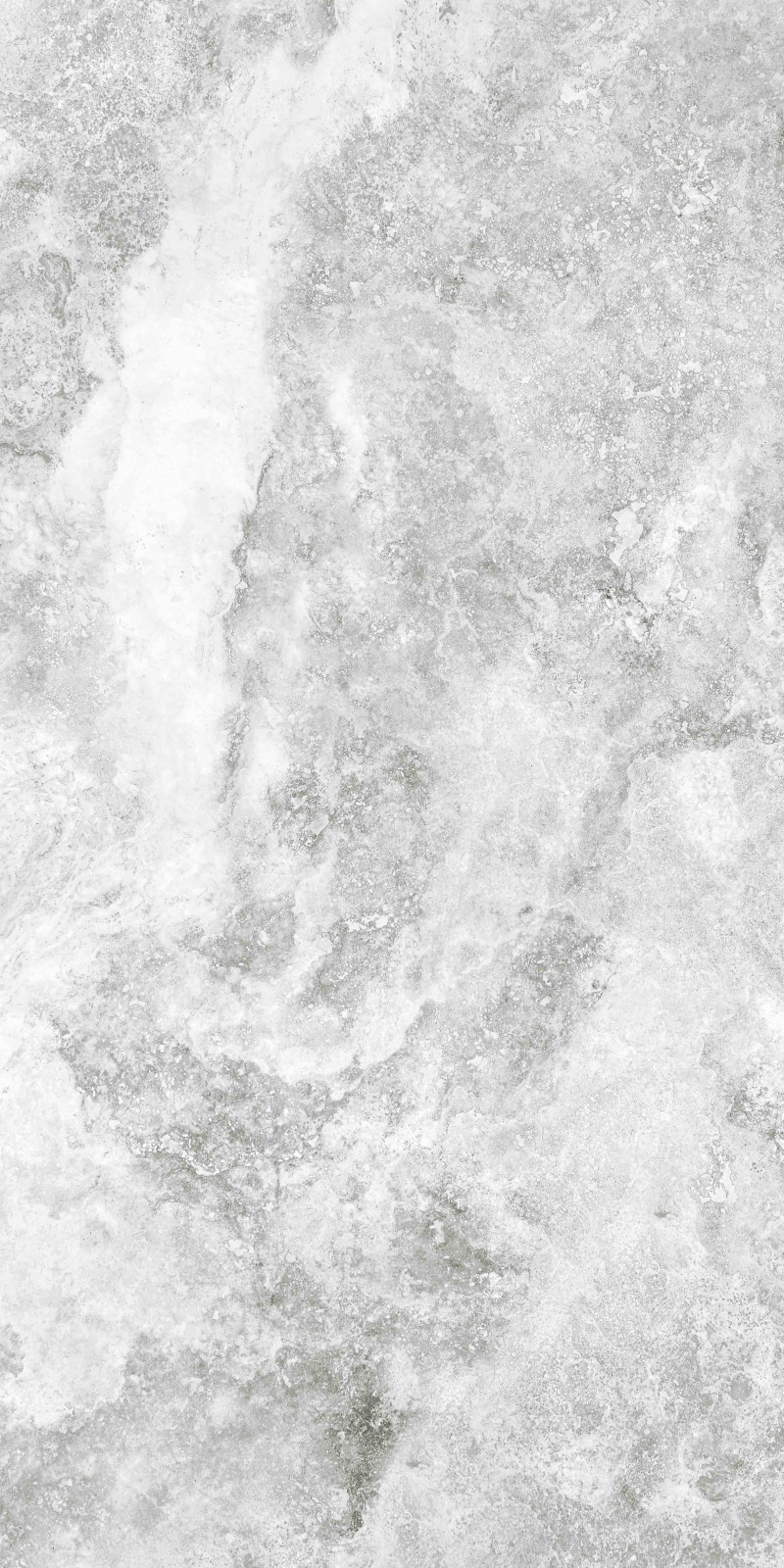 Frost grey Polished 600x1200